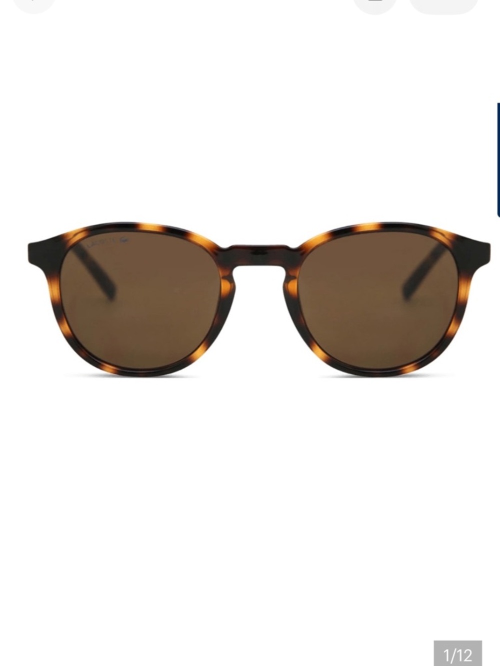 Lacoste Havana Sunglasses New